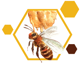 Logo Le Api di Stefano