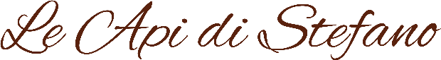 Solo scritta logo